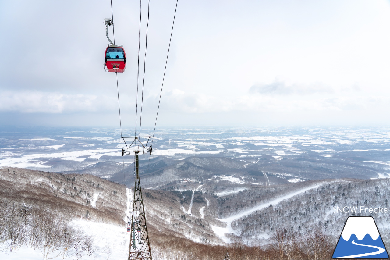 十勝サホロリゾート｜あの記録的な大雪から１週間…。ゲレンデのコンディションは、この上ないほど良好です(^^)v